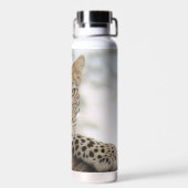 Bouteille d'eau en acier inoxydable Leopard 22 oz. (Arrière)