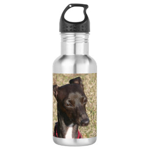 Bouteille D'eau En Acier Inoxydable lévrier italien.png