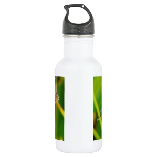 Bouteille D'eau En Acier Inoxydable libellule turquoise et violette (Dos)