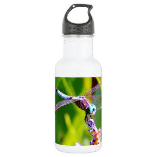 Bouteille D'eau En Acier Inoxydable libellule turquoise et violette