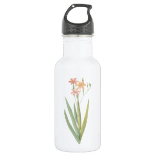 Bouteille D'eau En Acier Inoxydable lily de myrtilles (Belamcanda chinensis) par Redou
