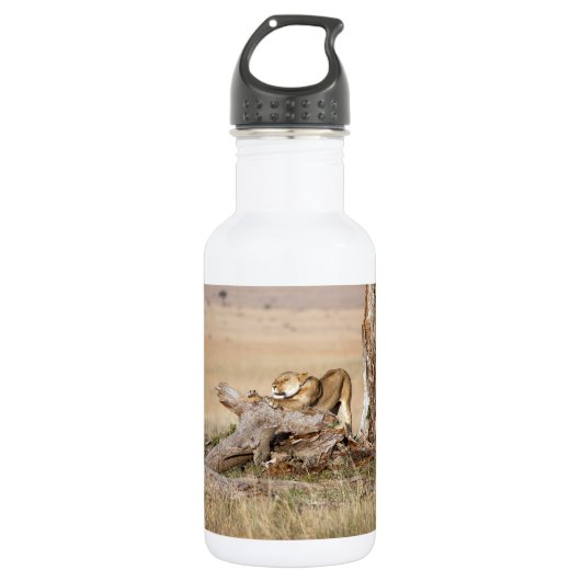 Bouteille D'eau En Acier Inoxydable Lioness stretching (Devant)