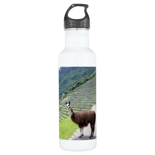 Bouteille D'eau En Acier Inoxydable llama (Devant)