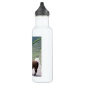 Bouteille D'eau En Acier Inoxydable llama (Droite)
