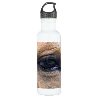 Bouteille D'eau En Acier Inoxydable L'oeil de l'esprit