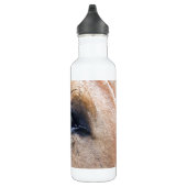 Bouteille D'eau En Acier Inoxydable L'oeil de l'esprit (Droite)