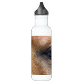 Bouteille D'eau En Acier Inoxydable L'oeil de l'esprit (Gauche)