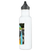 BOUTEILLE D'EAU EN ACIER INOXYDABLE MACAWS (Droite)
