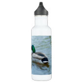 Bouteille D'eau En Acier Inoxydable Mallard Ducks (Droite)