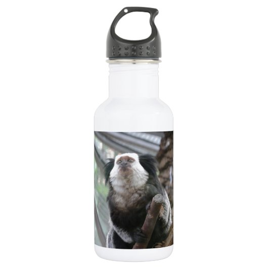 Bouteille D'eau En Acier Inoxydable Marmoset (Devant)