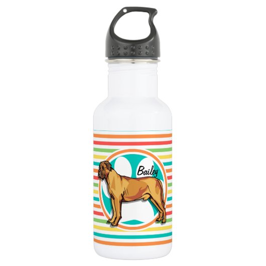Bouteille D'eau En Acier Inoxydable Mastiff ; Bright Rainbow Stripes (Devant)