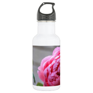 Bouteille D'eau En Acier Inoxydable Nature