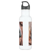 BOUTEILLE D'EAU EN ACIER INOXYDABLE ORANGUTANS (Dos)