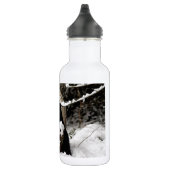 Bouteille D'eau En Acier Inoxydable Panda géant (Droite)