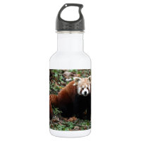Panda rouge
