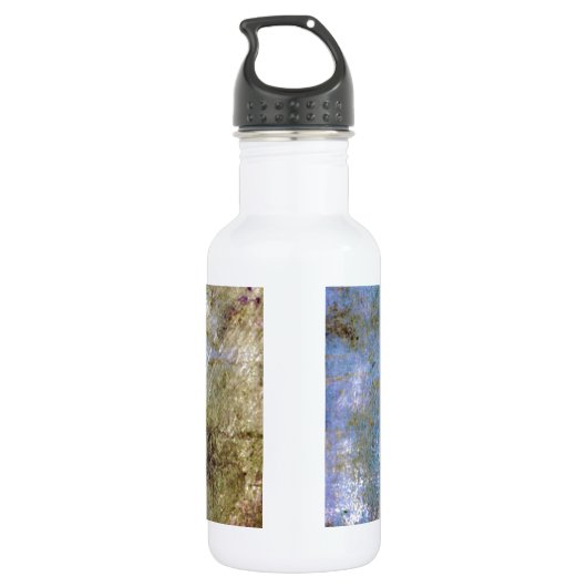 Bouteille D'eau En Acier Inoxydable Papillon bleu Galaxy (Dos)