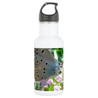 Bouteille D'eau En Acier Inoxydable Papillon bleu jaune avec des taches noires sur les