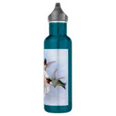 Bouteille D'eau En Acier Inoxydable Papillon et colibris (Droite)