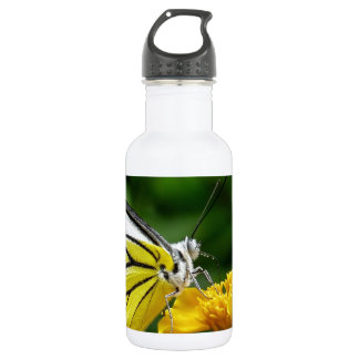 Bouteille D'eau En Acier Inoxydable Papillon jaune et rouge sur fleur jaune