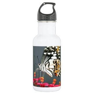 Bouteille D'eau En Acier Inoxydable Papillon noir et jaune blanc sur Fleurs roses