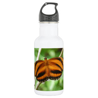 Bouteille D'eau En Acier Inoxydable Papillon Rayure de Tigre