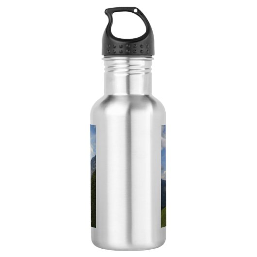 Bouteille D'eau En Acier Inoxydable Paysage suisse magnifique (Dos)