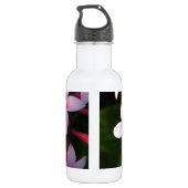 Bouteille D'eau En Acier Inoxydable Pentas (Dos)