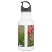 Bouteille D'eau En Acier Inoxydable Petit oiseau gras (Dos)