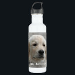 Bouteille D'eau En Acier Inoxydable Photo personnalisée et nom de chien de golden<br><div class="desc">Personnalisez ce souvenir de chien de golden retriever avec votre photo du chien ou du chiot et nom (ou toute autre photo d'animal familier ou de personne/nom). Le texte lit le "meilleur chien jamais" ou ajoute votre propre texte - nous aimons la marguerite (le nom de votre chien), l'anniversaire du...</div>
