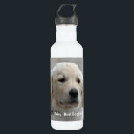 Bouteille D'eau En Acier Inoxydable Photo personnalisée et nom de chien de golden<br><div class="desc">Personnalisez ce souvenir de chien de golden retriever avec votre photo du chien ou du chiot et nom (ou toute autre photo d'animal familier ou de personne/nom). Le texte lit le "meilleur chien jamais" ou ajoute votre propre texte - nous aimons la marguerite (le nom de votre chien), l'anniversaire du...</div>