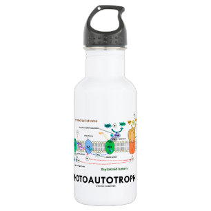 Bouteille D'eau En Acier Inoxydable Photosynthèse de Photoautotrophile