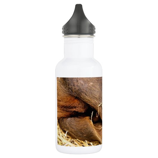 BOUTEILLE D'EAU EN ACIER INOXYDABLE PIÈCES (Gauche)