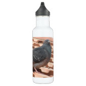 Bouteille D'eau En Acier Inoxydable Pigeon sur le toit (Droite)