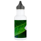 Bouteille D'eau En Acier Inoxydable plumérie (Gauche)