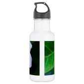 Bouteille D'eau En Acier Inoxydable plumérie (Dos)