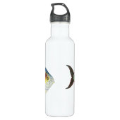 Bouteille D'eau En Acier Inoxydable Poisson Opah tropical, animal aquatique marin Vint (Dos)