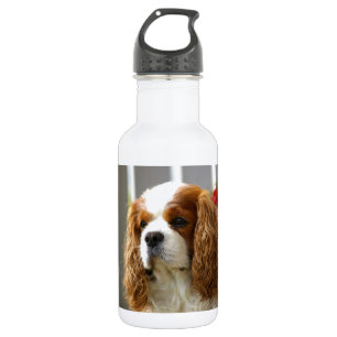 Bouteille D'eau En Acier Inoxydable Portrait cavalier d'épagneul du Roi Charles