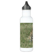 Bouteille d'eau en acier inoxydable pour chat Serv (Gauche)