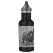 Bouteille D'eau En Acier Inoxydable RAM écossaises (Gauche)