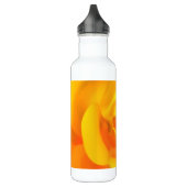 Bouteille D'eau En Acier Inoxydable Rose coriace (Gauche)