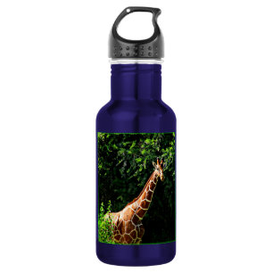 Bouteille D'eau En Acier Inoxydable Samburu Giraffe