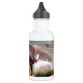 Bouteille D'eau En Acier Inoxydable Sashimi de calmar Repas Japonais Service Déjeuner  (Gauche)