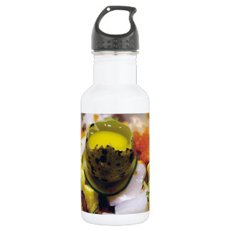 Bouteille D'eau En Acier Inoxydable Sashimi Saumon Thon Poisson Fruits de Mer Caviar J