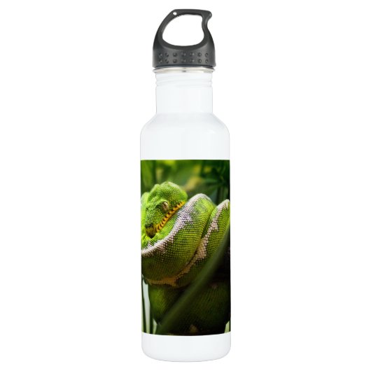 Bouteille D'eau En Acier Inoxydable Serpent d'arbre (Devant)