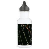 Bouteille D'eau En Acier Inoxydable Spider Web (Gauche)