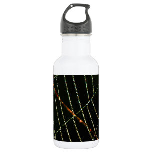Bouteille D'eau En Acier Inoxydable Spider Web