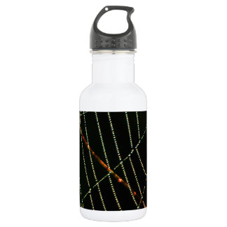 Bouteille D'eau En Acier Inoxydable Spider Web