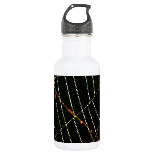 Bouteille D'eau En Acier Inoxydable Spider Web (Devant)