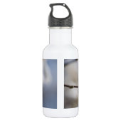 Bouteille d'eau en acier inoxydable Star Magnolia  (Dos)