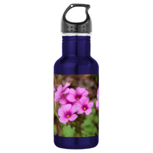 Bouteille D'eau En Acier Inoxydable Sur ma porte